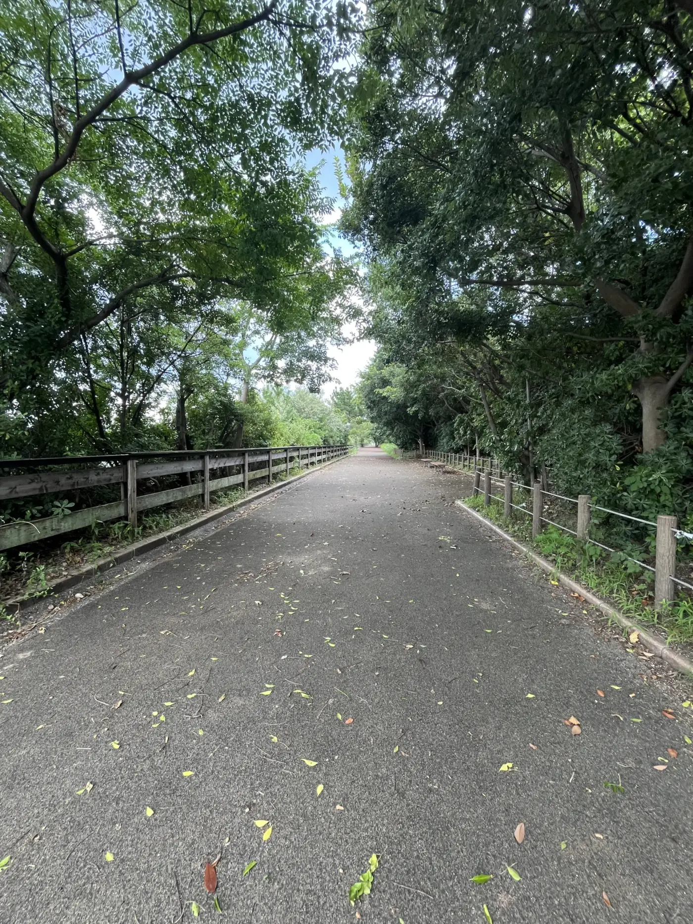 東区塩浜一丁目　分譲地の新築戸建・建売住宅は「プロスペリテ」